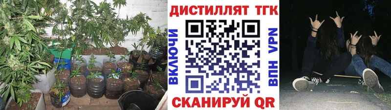 ТГК гашишное масло  наркошоп  Великие Луки 