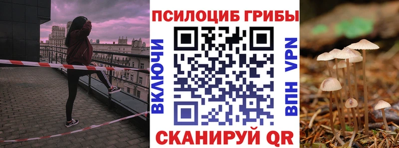 Псилоцибиновые грибы Psilocybe  Великие Луки 