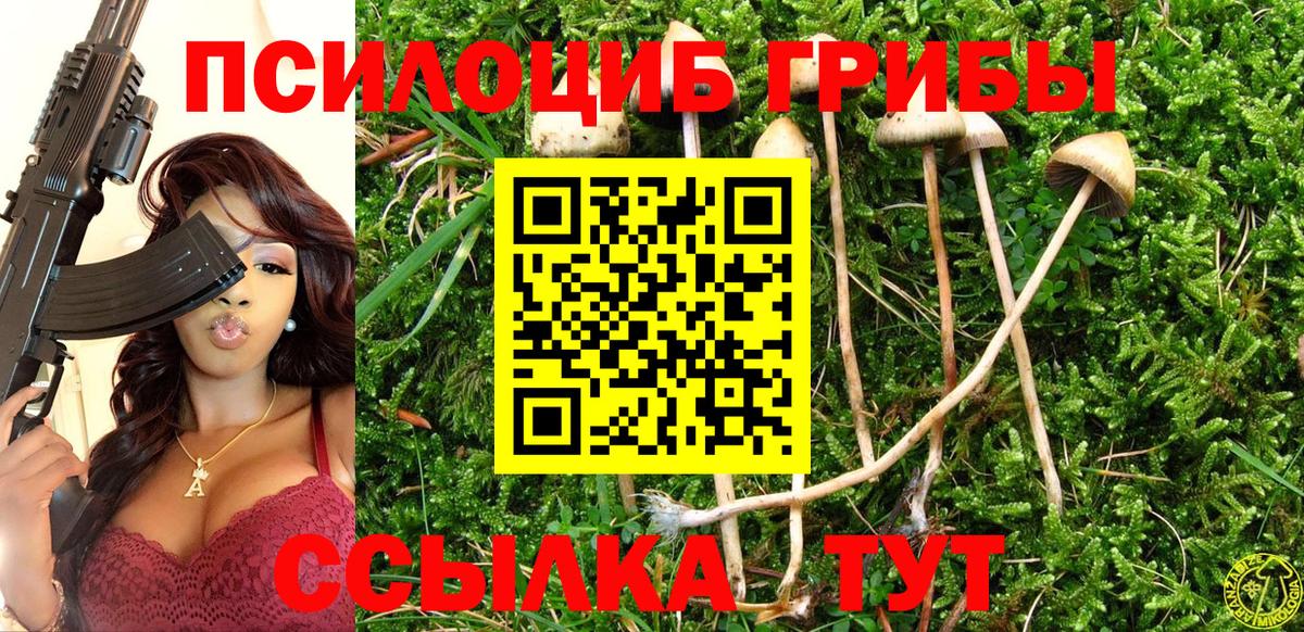 Псилоцибиновые грибы прущие грибы Великие Луки