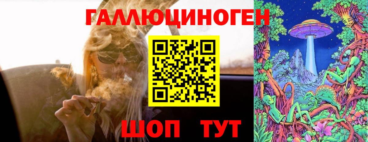 Великие Луки  Псилоцибиновые грибы Psilocybine cubensis  Вход с VPN 