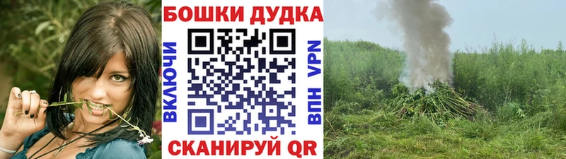 Бошки Шишки Ganja  Великие Луки 